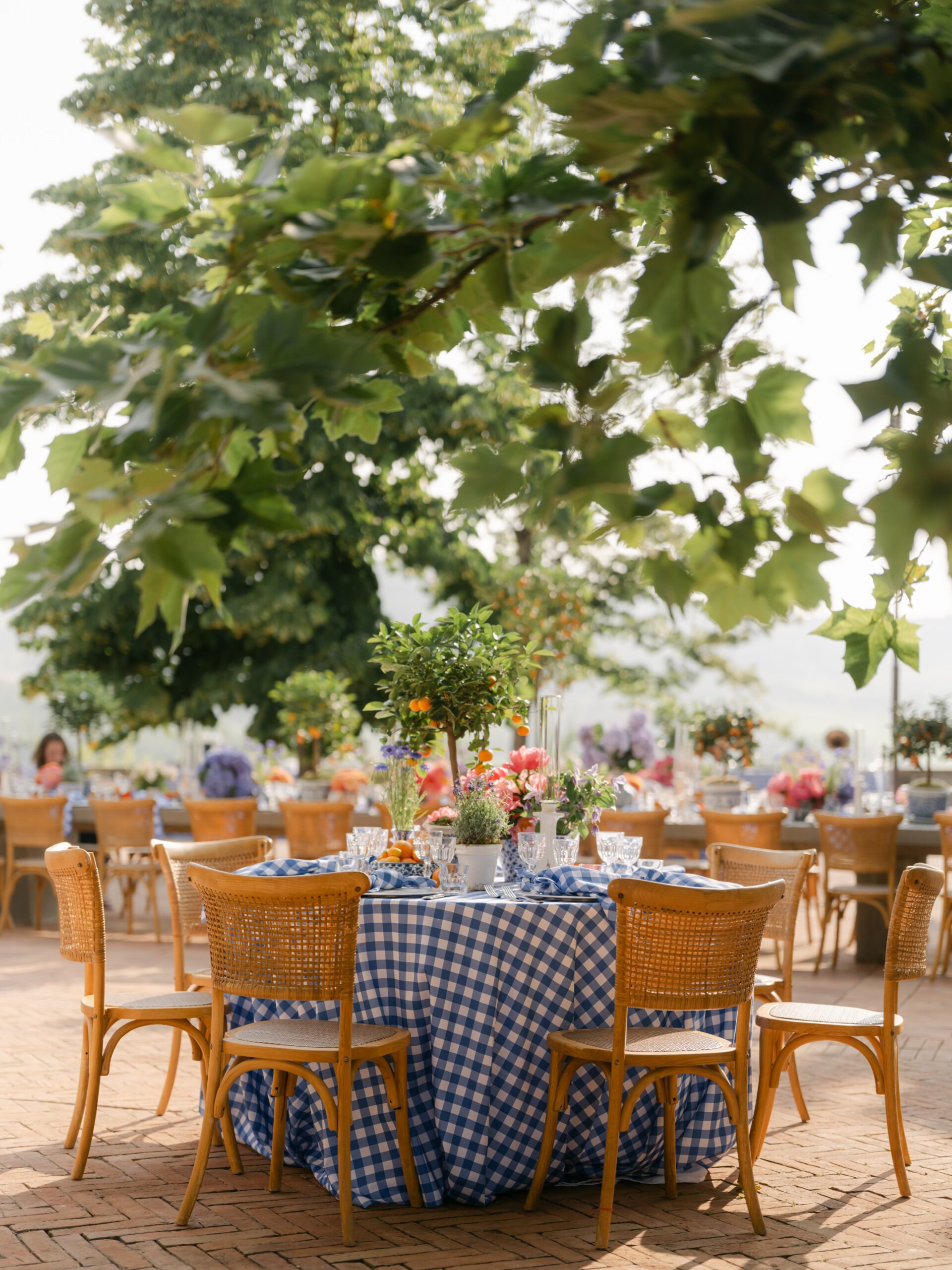 Blue and Orange themed party